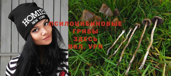 экстази Кукмор