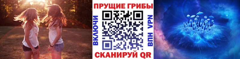 Купить закладки  Гаврилов-Ям  Псилоцибиновые грибы мицелий 
